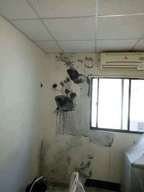 牆壁壁癌